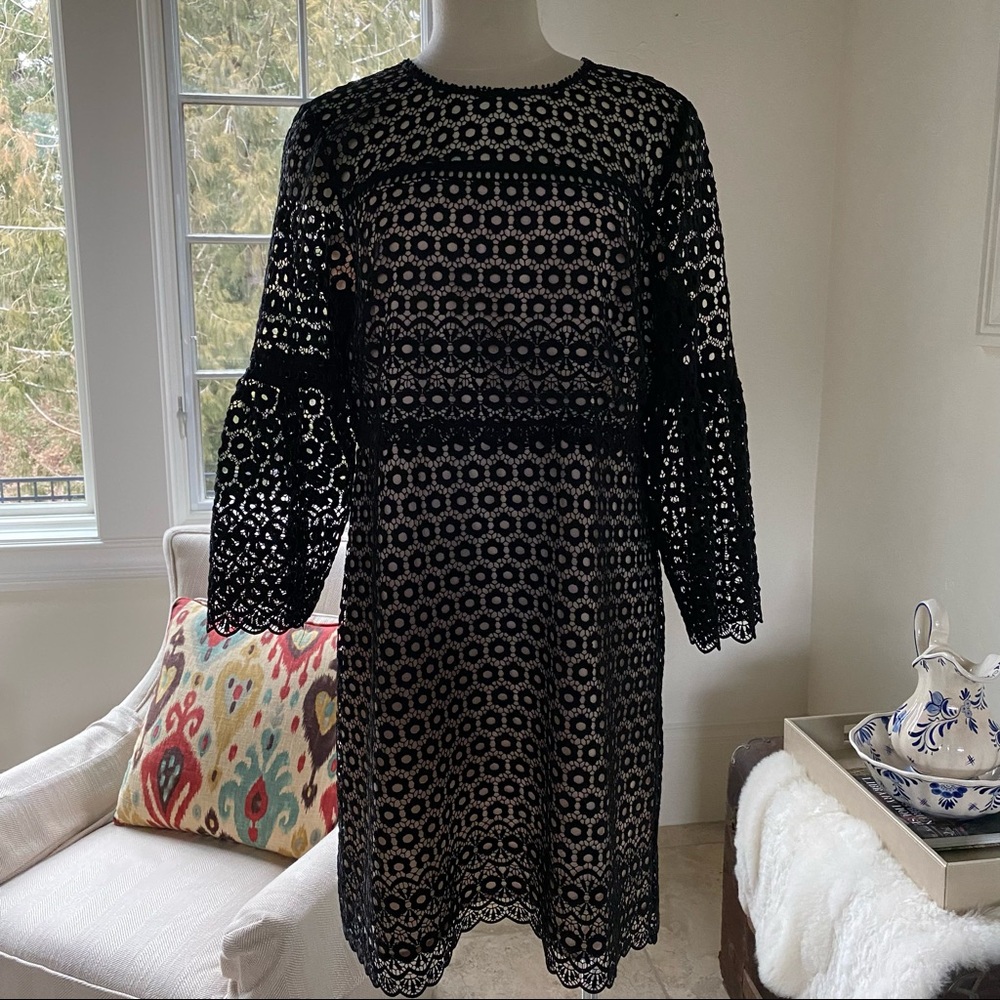 J. Crew Knee Length Black Lace Style Dress Size 12